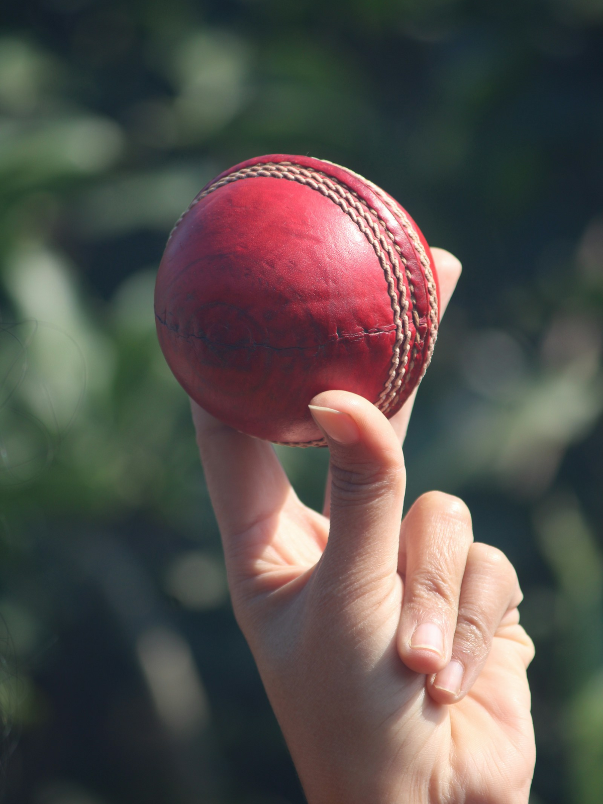 Cricket Ball