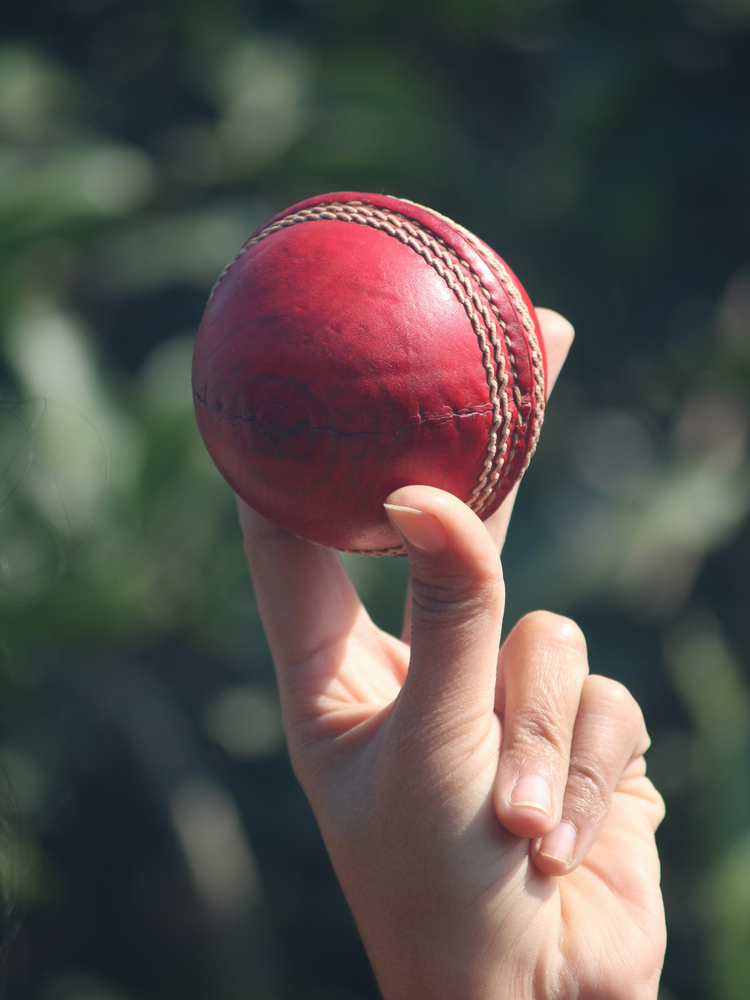 Cricket Ball