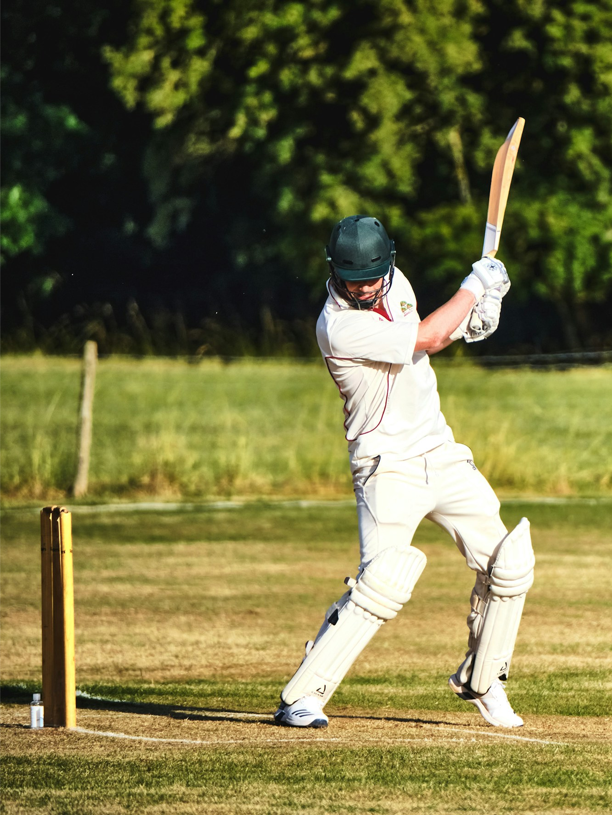 Cricket