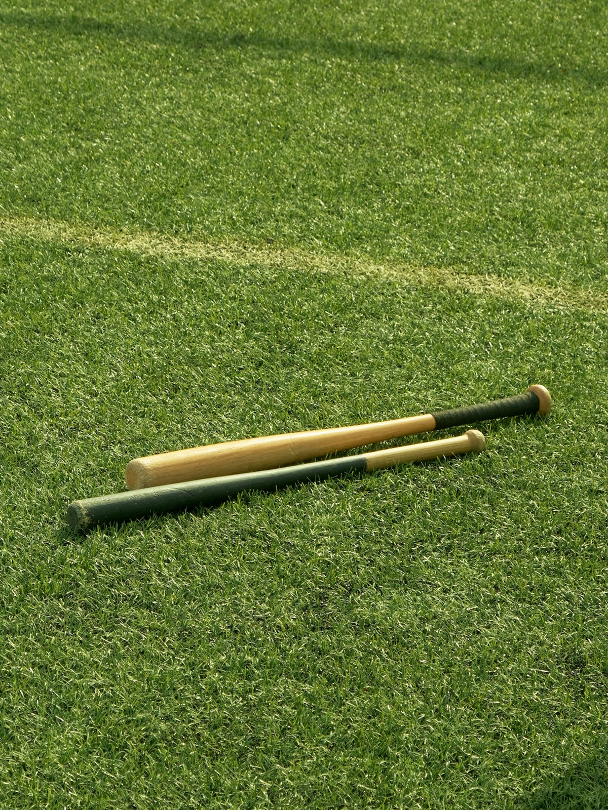 Baseball Bats