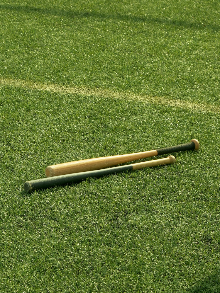 Baseball Bats