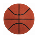 Classic Training Basketball