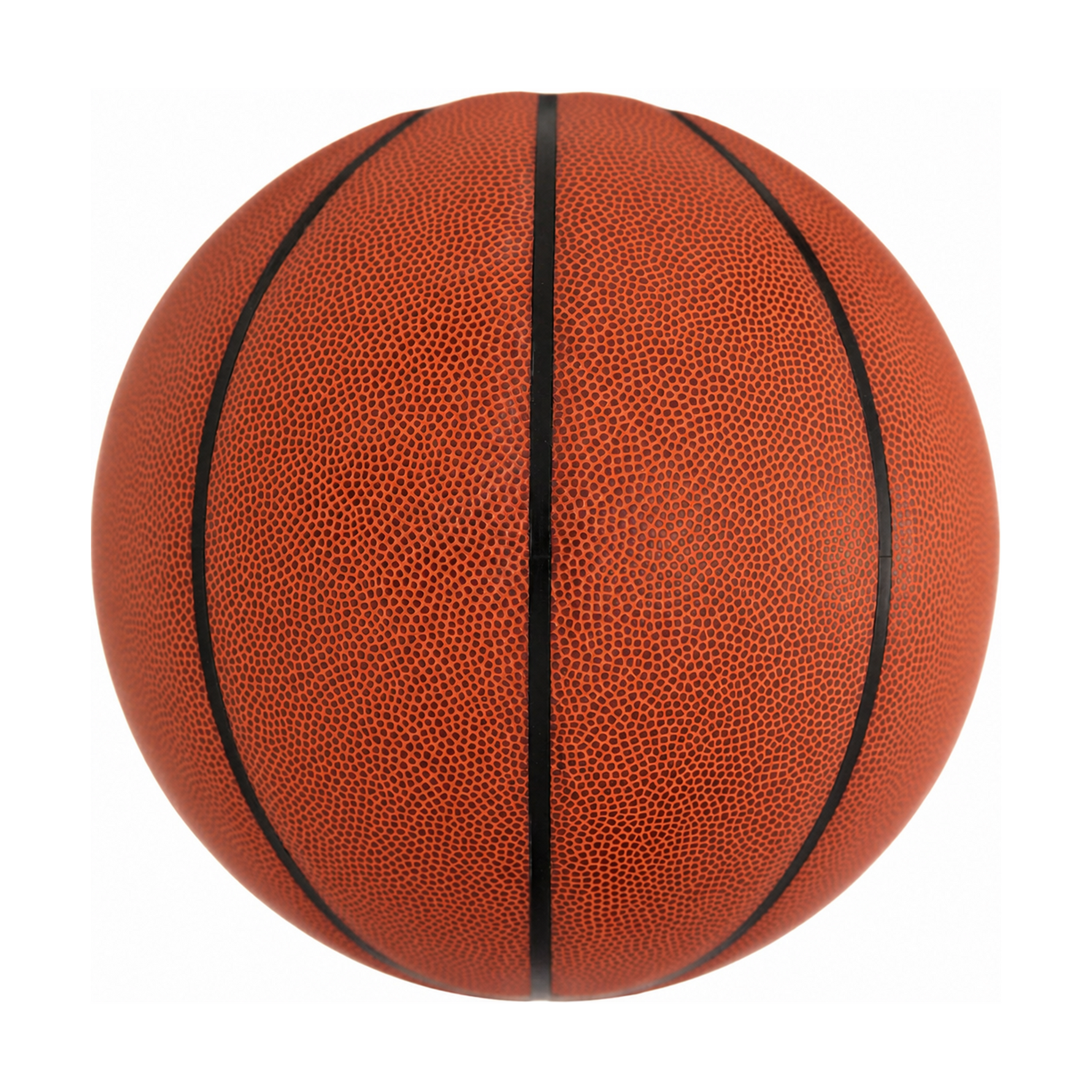 Classic Training Basketball