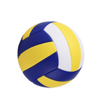 Sport High-Performance Volleyball
