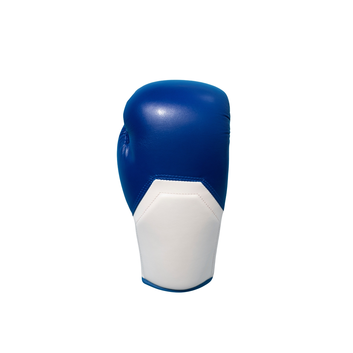 Pro-Guard Blue Boxing Gloves
