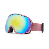 VisionX High-Performance Goggles