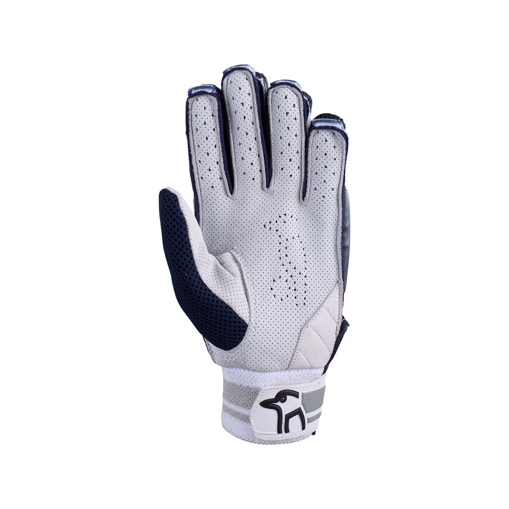Premium Cricket Batting Gloves