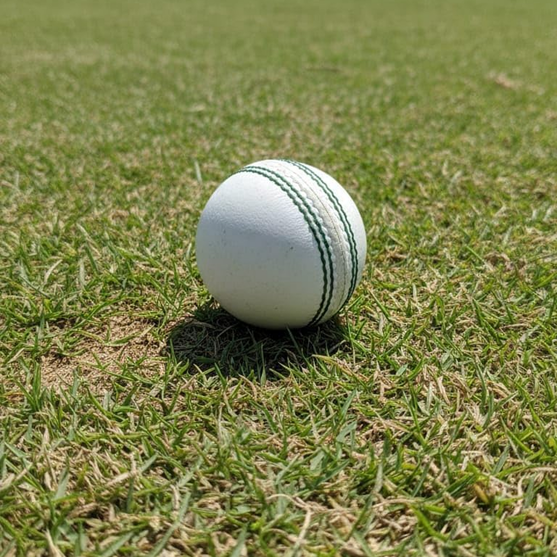 Professional Leather Cricket Ball