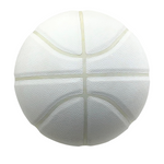 Premium Indoor/Outdoor Basketball
