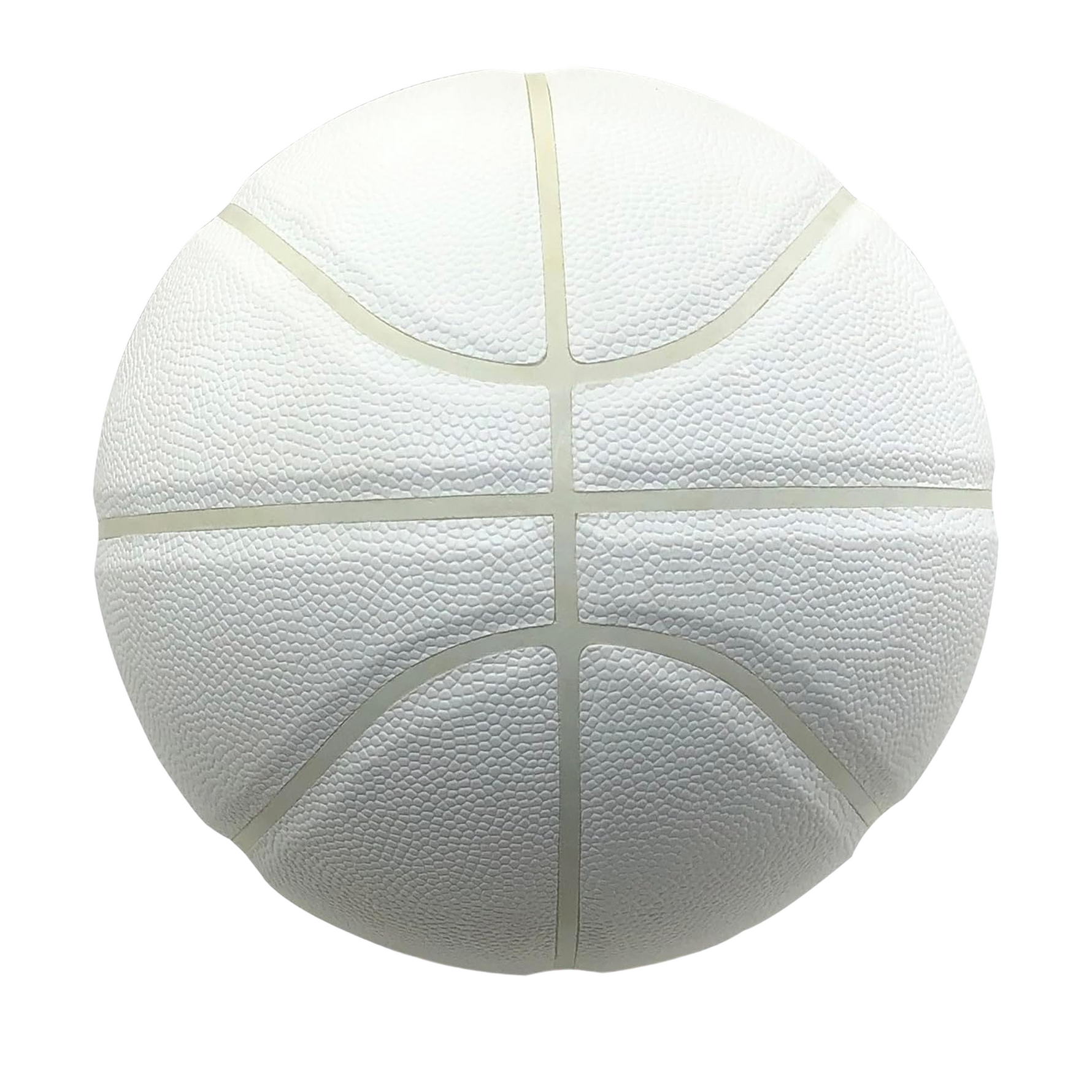 Premium Indoor/Outdoor Basketball