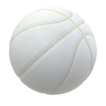 Premium Indoor/Outdoor Basketball