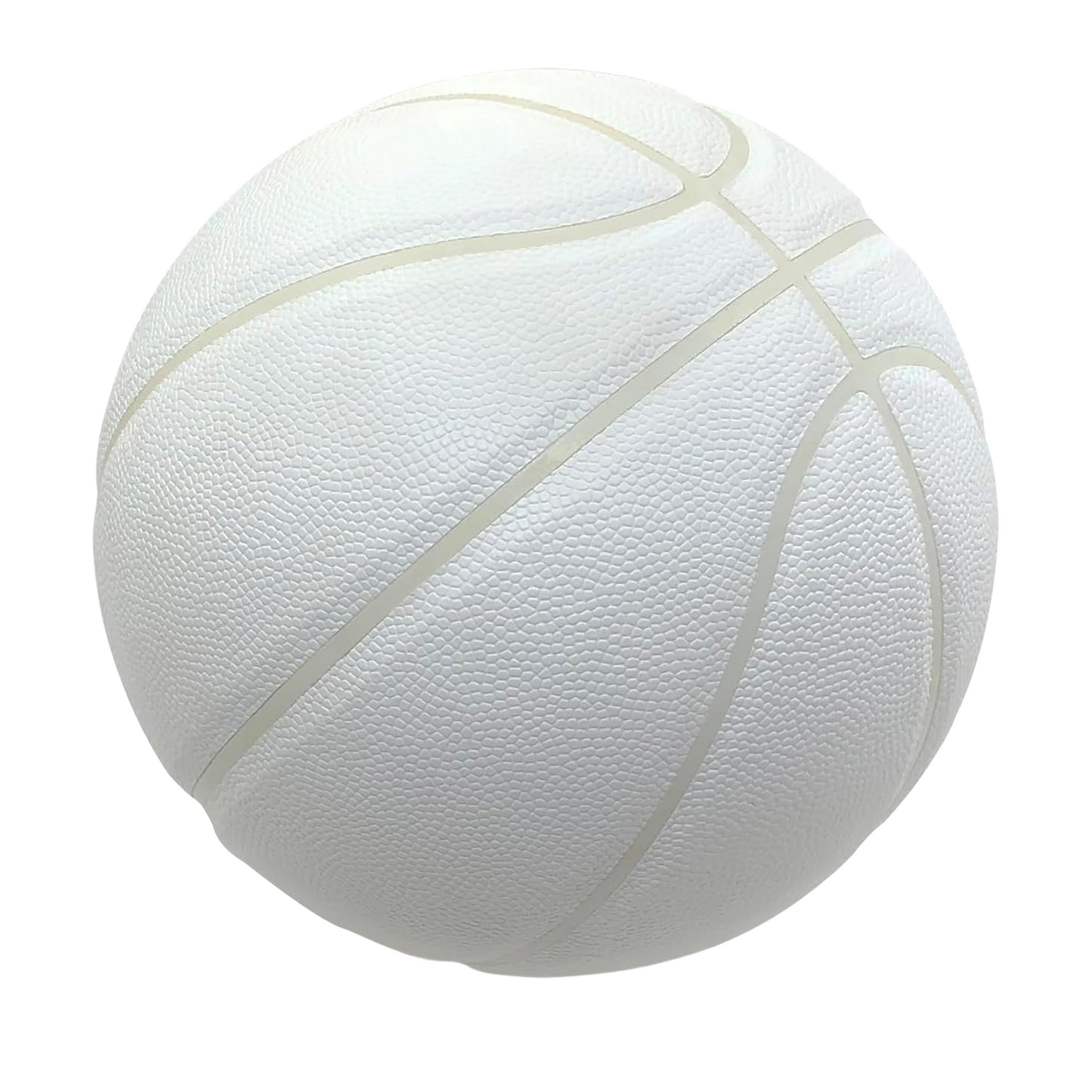 Premium Indoor/Outdoor Basketball