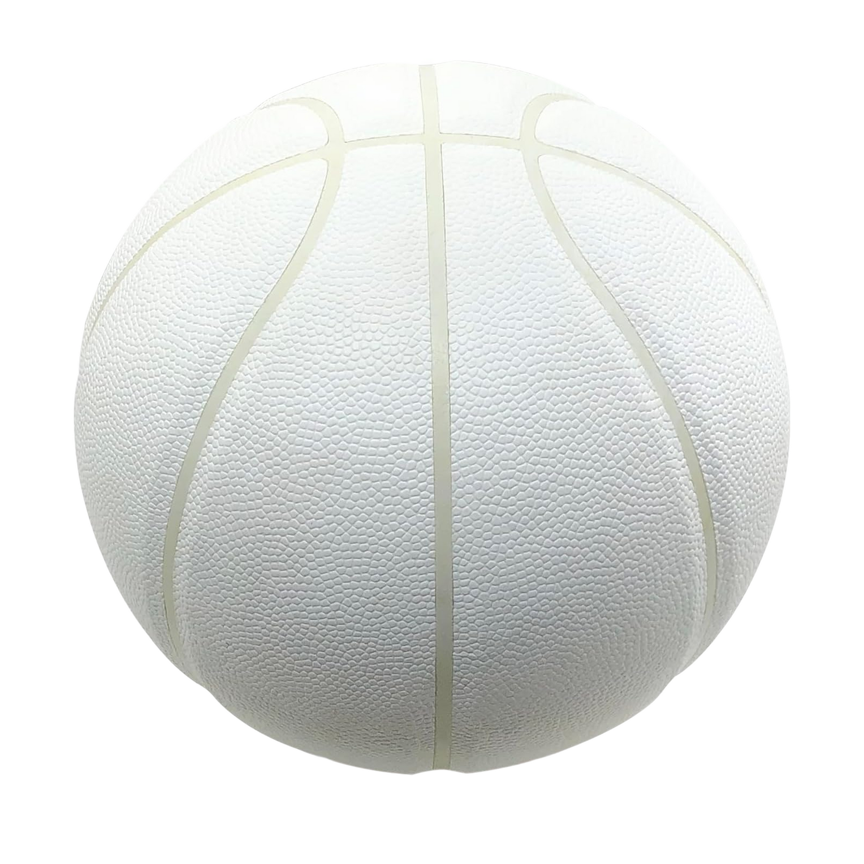 Premium Indoor/Outdoor Basketball