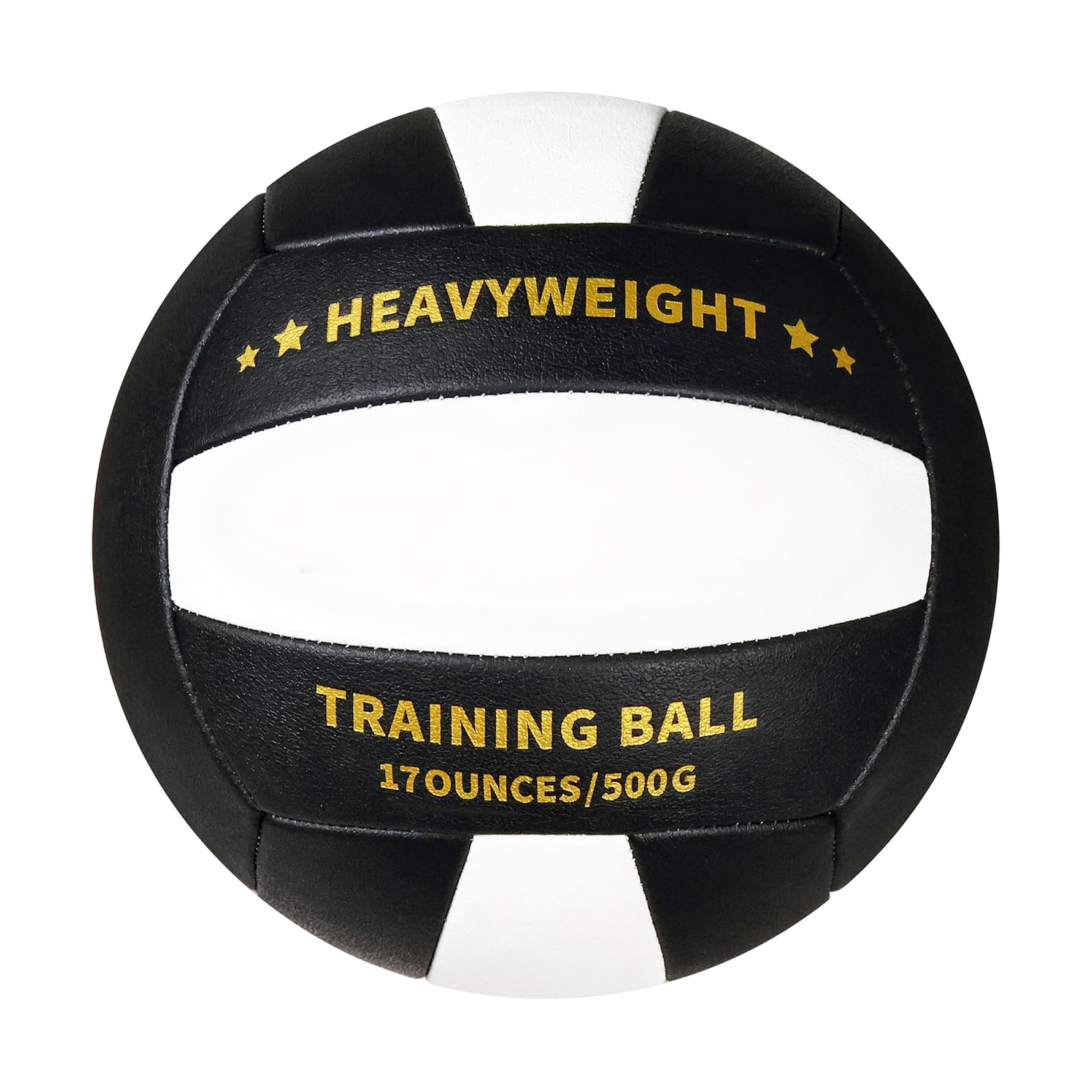 Professional Match Volleyball - MAXIMIZE Edition