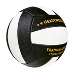 Professional Match Volleyball - MAXIMIZE Edition