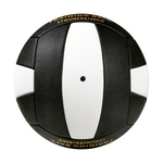 Professional Match Volleyball - MAXIMIZE Edition