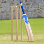 Pro Quality Cricket Bat